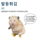코어킴스킨 네이버블로그