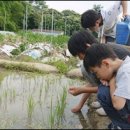 인성농장 이미지