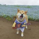 담은갈비 이미지