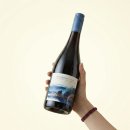 블루blue | [술찍한 와인리뷰 #22] 🇦🇺베서니 블루 쿼리 쉬라즈(Bethany Blue Quarry Shiraz) 솔직 후기