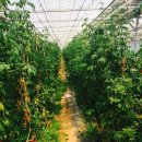 해천농장 이미지