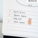 다다365 | 2026년 달력 일일 달력 365 일력 탁상달력 데일리 음력켈린더 26년 내년 카렌다 감성달력 메모달력 리훈...