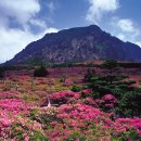 넘버원노래연습장 이미지