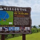 진도 고니류 도래지 이미지