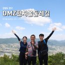 해안면 만대리 - 해안면사무소 자작나무 | [양구] 펀치볼 트래킹4코스 먼멧재길 | 최고의 양구 여행