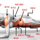 해시피트니스