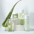 김정문알로에 논공행복점 | 26년 가정의 달 선물 추천 💚 김정문알로에 큐어 피토 그린 4종 세트, 속 건조 잡는 기초화장품 리뷰