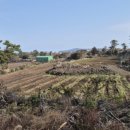 제주도성산공인중개사사무소 이미지