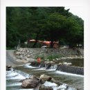 명당옥수 이미지