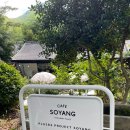플러스82프로젝트소양점 네이버블로그