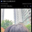 갤러리헤어 이미지