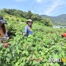 팔덕면사무소 이미지