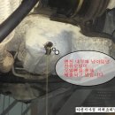 카젠 지사점 네이버블로그