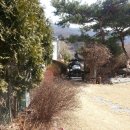푸른솔1공인중개사사무소 이미지