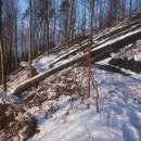 거성시장 이미지