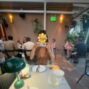 DOUBLE S GYM | 에딕티드 edikted 후기