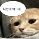 무지개마을 네이버블로그