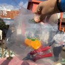 동백가든 | 제주감귤체험 동백꽃명소 동물먹이주기 귤따기 올인원패키지 파더스가든