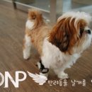 대동보조기 이미지