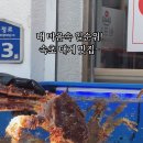 동해안대게찜 이미지