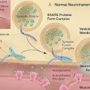 시너지내과신경과의원 이미지
