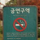 개웅어린이공원 - 2472 | 개웅어린이공원