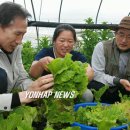 대선농장 이미지