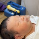 유축기 추천 메델라 대여 가격 락티나 심포니 사용 후기