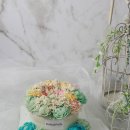 롤리앤폴리 이미지