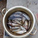 시골촌놈 이미지