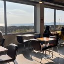 청오돼지들의세상 | 풀무질/사계절팟타이/성산에서 연날리기/청오돼지들의세상/어라운드폴리에서 경도하기/월간레코드/화제...