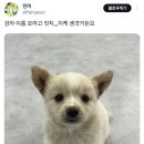 모****** Daum카페