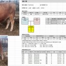 달맞이목장 이미지