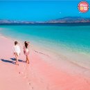 핑크비치 이미지