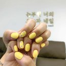 썬네일앤래쉬