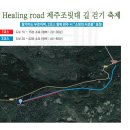 ◀ 힐링로드 제주조릿대길 걷기 축제 / 10월 9일(금)~10일(토) / 사려니숲길 일대 / 참가비 무료(선착순 2,000명) ▶| 이미지