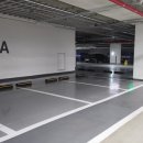 1135 핀포인트뉴스