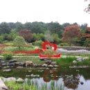 제주앓이 이미지