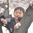 선진합기도 이미지