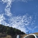 백두대간약초나라 | [정부행사]산림청|백두대간 보호 20주년 ‘백두대간 사랑운동’ 행사 후기| 조윤하아나운서