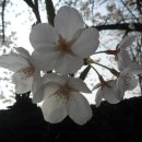 영복여자고등학교 이미지