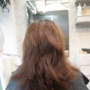 앤스마리스(본점)