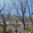 월아산 숲속의 진주(목재문화체험관) | 진주 월아산 우드랜드 숲속의 진주 목재체험관 산림레프츠 수선화정원