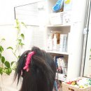 수원붙임머리 단발에서 탈색염색 커버후 친구 소개로 찾아간 샵 리터치후기