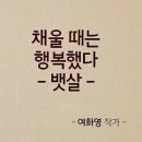 업점핑다이어트클럽