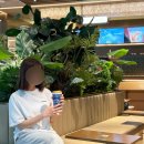 하얏트항공여행사주 | 중국 리장 여행 | 중국남방항공(CZ3090-CZ8581), 선전 하얏트리젠시 선전 에어포트 솔직 후기 :: 차지...
