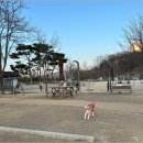 기흥레스피아호수공원 반려동물 놀이터_R | 우리집 강아지 반려견 루이_용인 기흥 레스피아 호수공원 반려견놀이터 나들이