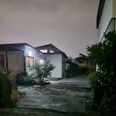 드랑드랑 | 제주도 돌담 감성 숙소 드랑드랑 귤밭동 살짝 아쉬운 후기