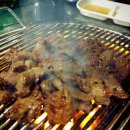 불타는돈갈매기 이미지