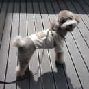 쿨펫이마트 목동점 동물병원 이미지